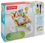 Lepotuoli Fisher Price Jumperoo, lapsille, CMR20 hinta ja tiedot | Sitterit | hobbyhall.fi