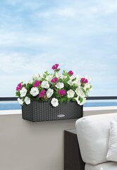 Lechuza Balconera cottage 50 antrasiitti hinta ja tiedot | Kukkalaatikot | hobbyhall.fi