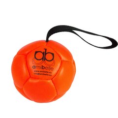 Ilmatäytteinen pallo koirille Amibelle, oranssi 10 cm hinta ja tiedot | Koiran lelut | hobbyhall.fi