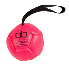 Keskikokoinen pallo koirille silikonitäytteellä Amibelle, pinkki 9 cm hinta ja tiedot | Koiran lelut | hobbyhall.fi