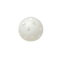 Salibandypallo Tremblay, 70 mm hinta ja tiedot | Tremblay Urheilu ja vapaa-aika | hobbyhall.fi