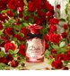 Dolce Gabbana Dolce Rose EDT naisille 50 ml hinta ja tiedot | Naisten hajuvedet | hobbyhall.fi