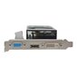 Vaizdo plokštė AFOX Geforce GTX750 4GB GDDR5 128Bit DVI HDMI VGA LP Dual V2 AF750-4096D5L4-V2 hinta ja tiedot | Näytönohjaimet | hobbyhall.fi