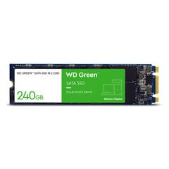 Sisäinen kiintolevy Western Digital WDS240G3G0B 240 GB BFNBBS55146899 hinta ja tiedot | Kovalevyt | hobbyhall.fi