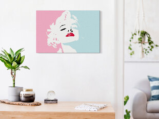 DIY kangas maalaus - Marilyn in Pink hinta ja tiedot | Maalaa numeroiden mukaan | hobbyhall.fi