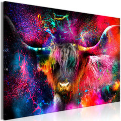 Kuva - Colorful Bull (1 Part) Wide hinta ja tiedot | Taulut | hobbyhall.fi