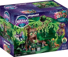 70801 PLAYMOBIL® Adventures of Ayuma, Tree of Wisdom hinta ja tiedot | LEGOT ja rakennuslelut | hobbyhall.fi