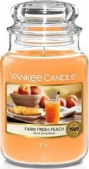 Tuoksukynttilä Yankee Candle Farm Fresh Peach 623 g hinta ja tiedot | Kynttilät ja kynttilänjalat | hobbyhall.fi
