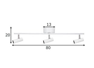 Globen Lighting Kattovalaisin Hubble hinta ja tiedot | Kattovalaisimet | hobbyhall.fi