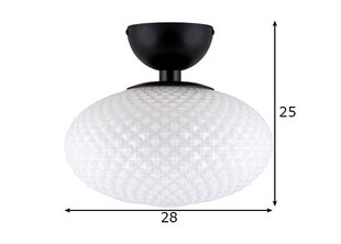 Globe Lighting kattovalaisin Jackson hinta ja tiedot | Kattovalaisimet | hobbyhall.fi