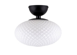 Globe Lighting kattovalaisin Jackson hinta ja tiedot | Kattovalaisimet | hobbyhall.fi