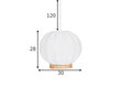 Globe Lighting kattovalaisin Yokohama 30 hinta ja tiedot | Kattovalaisimet | hobbyhall.fi