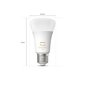 Philips Hue WA 6W A60 E27 LED-lamppu, 2 kpl. hinta ja tiedot | Lamput | hobbyhall.fi