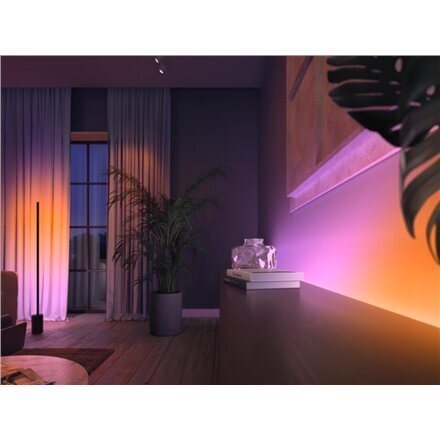 Philips Hue Gradient älykäs LED-nauha, 2 m hinta ja tiedot | LED-valonauhat | hobbyhall.fi