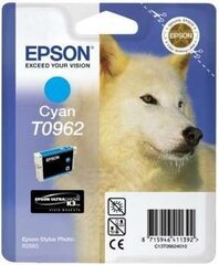 EPSON Tinte Cyan 11,4 ml hinta ja tiedot | Mustekasetit | hobbyhall.fi