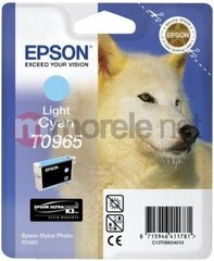 EPSON Tinte Light Cyan 11,4 ml hinta ja tiedot | Mustekasetit | hobbyhall.fi