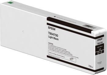 Epson C13T804700 hinta ja tiedot | Mustekasetit | hobbyhall.fi