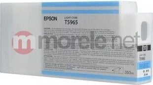 Epson UltraChrome HDR T596500 Ink Cartri hinta ja tiedot | Mustekasetit | hobbyhall.fi