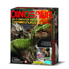 Kaivaussarja 4M Dig a Dinosaur T-Rex hinta ja tiedot | 4M Lapset | hobbyhall.fi