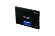 GoodRam SSDPR-CX400-256-G2 hinta ja tiedot | Kovalevyt | hobbyhall.fi