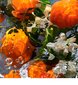 Parfyymi Guerlain Aqua Allegoria Orange Soleia EDT 125 ml hinta ja tiedot | Naisten hajuvedet | hobbyhall.fi