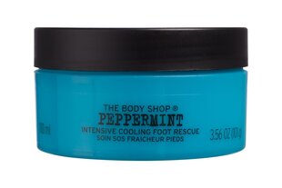 Viilentävä jalkavoide The Body Shop Piparminttu 100 ml hinta ja tiedot | Vartalovoiteet ja -emulsiot | hobbyhall.fi