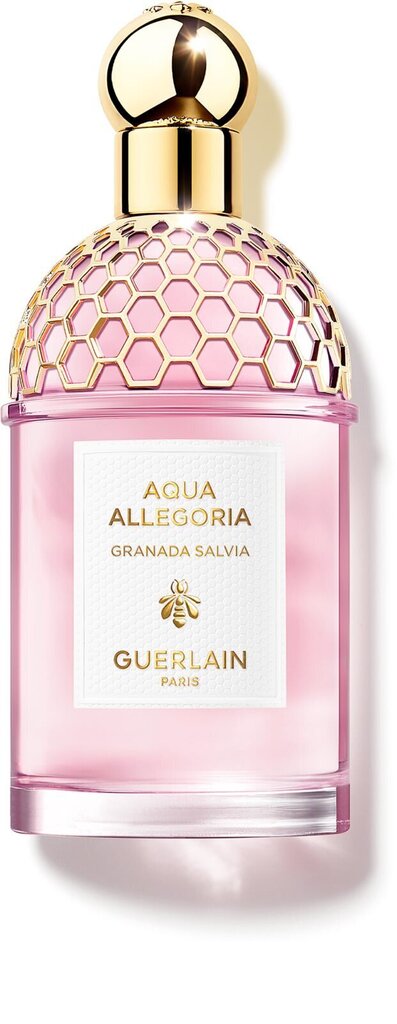 Parfyymi Guerlain Aqua Allegoria Granada Sage EDT naisille 125 ml hinta ja tiedot | Naisten hajuvedet | hobbyhall.fi