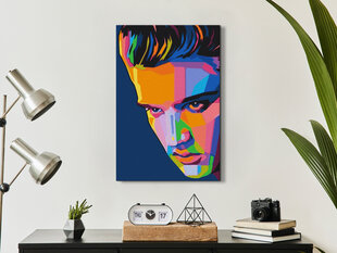 DIY kangas maalaus - Colourful Elvis 40x60 hinta ja tiedot | Artgeist Lapset | hobbyhall.fi