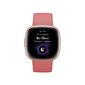 Fitbit Versa 4 NFC Pink Sand/Copper Rose FB523RGRW hinta ja tiedot | Älykellot | hobbyhall.fi