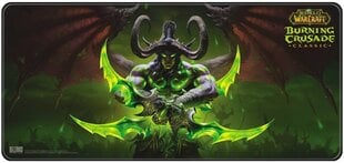 Blizzard World of WarCraft Burning Crusade - Illidan hinta ja tiedot | Blizzard Entertainment Tietokoneet ja pelaaminen | hobbyhall.fi