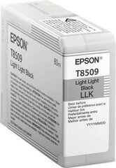 Epson T8509 Ink Cartridge, Light Light B hinta ja tiedot | Mustekasetit | hobbyhall.fi