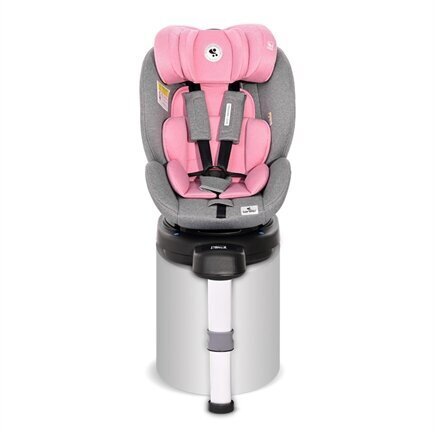 Lorelli Proxima i-Size - Turvaistuin, 0-18 kg, PINK&GREY. hinta ja tiedot | Turvaistuimet | hobbyhall.fi