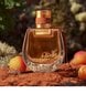 Naisten hajuvesi Nomade Absolu de Parfum Chloe EDP: Tilavuus - 75 ml hinta ja tiedot | Naisten hajuvedet | hobbyhall.fi