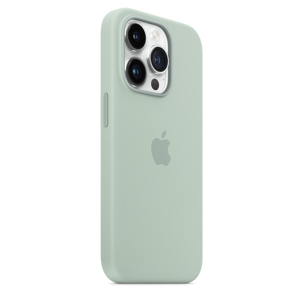 Apple Silicone Case MagSafe MPTY3ZM/A Succulent hinta ja tiedot | Puhelimen kuoret ja kotelot | hobbyhall.fi