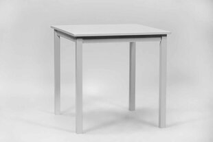 Rosella-ruokapöytä, 74 x 75 x 75 cm, valkoinen hinta ja tiedot | Ruokapöydät | hobbyhall.fi