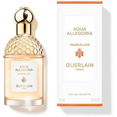 Hajuvesi Guerlain Aqua Allegoria Pamplelune EDT naisille 75 ml hinta ja tiedot | Naisten hajuvedet | hobbyhall.fi