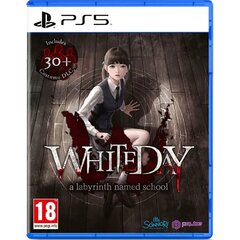 PS5 White Day: A Labyrinth Named School hinta ja tiedot | Tietokone- ja konsolipelit | hobbyhall.fi