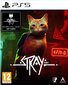 Stray Playstation 5 PS5 hinta ja tiedot | Tietokone- ja konsolipelit | hobbyhall.fi