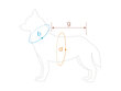 Amiplay Bronx, 46 cm, Koirantakki vihreä/harmaa hinta ja tiedot | Koiran vaatteet | hobbyhall.fi
