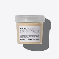 Davines Essential Haircare Nounou Conditioner - vaurioituneita hiuksia korjaava hoitoaine, 250 ml. hinta ja tiedot | Hoitoaineet | hobbyhall.fi