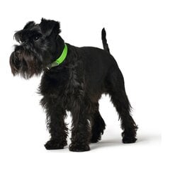 Hunter Convenience koiran kaulapanta, vihreä, 42-50 cm. hinta ja tiedot | Koiran valjaat ja kaulapannat | hobbyhall.fi