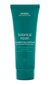 Aveda Botanical Repair - Korjaava hiustenhoitoaine, 200 ml. hinta ja tiedot | Hoitoaineet | hobbyhall.fi