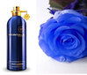 Montale Paris Blue Amber EDP unisex 100 ml hinta ja tiedot | Naisten hajuvedet | hobbyhall.fi