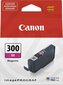 CANON PFI-300 M EUR/OCN magenta hinta ja tiedot | Mustekasetit | hobbyhall.fi