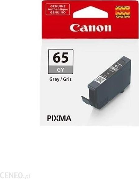 CANON CLI-65 GY EUR/OCN Ink Cartridge hinta ja tiedot | Mustekasetit | hobbyhall.fi