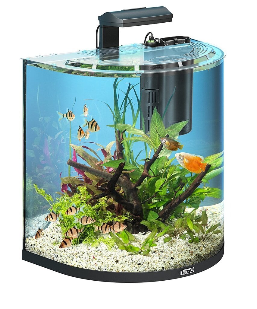 Akvaario Tetra AquaArt Explorer Line, 60 l hinta ja tiedot | Akvaariotarvikkeet | hobbyhall.fi