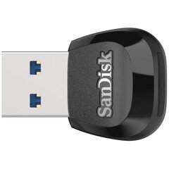 SanDisk SDDR-B531-GN6NN hinta ja tiedot | Sandisk Tietokoneet ja pelaaminen | hobbyhall.fi