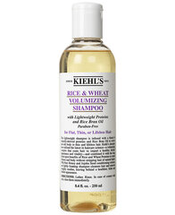 Shampoo Rice & Wheat volyymishampoo, 250 ml hinta ja tiedot | Kiehl's Hajuvedet ja kosmetiikka | hobbyhall.fi