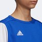 T-paita adidas Estro 19 Jersey sininen DP3231/DP3217 hinta ja tiedot | Jalkapallovaatteet ja -varusteet | hobbyhall.fi