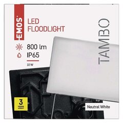 LED valonheitin TAMBO 10W hinta ja tiedot | Tambo Valaistus ja sähkölaitteet | hobbyhall.fi